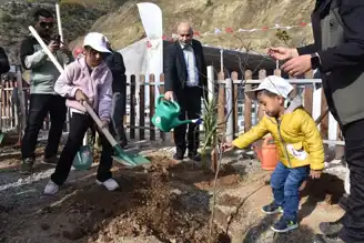 11 Kasım: Doğu Karadeniz'de Binlerce Fidan Toprağa Kavuştu