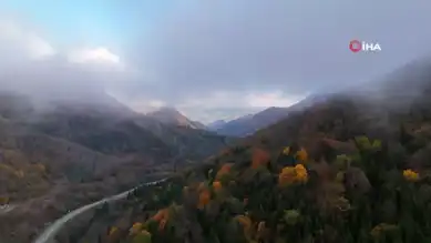 Sonbaharın Büyülü Renkleri Dağlarda