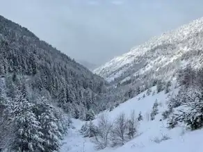 Doğu Karadeniz'de Yollar Kapandı, Eğitim Durdu