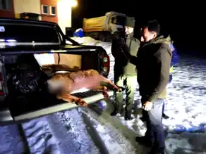 Şavşat'ta Kaçak Avcılara Rekor Ceza: 660 Bin Lira!