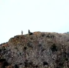 Yusufeli'nde Kaçak Avcılara 21 Bin TL Ceza