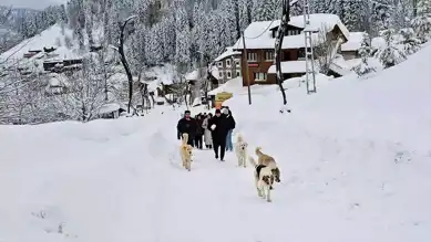 Kar Yağışı Doğu Karadeniz'i Vurdu!