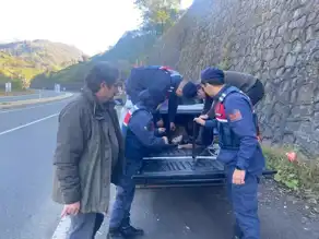 Dereye Düşen Yaralı Hayvan Kurtarıldı