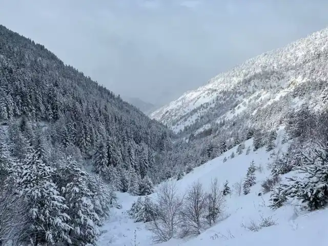 Doğu Karadeniz'de Yollar Kapandı, Eğitim Durdu