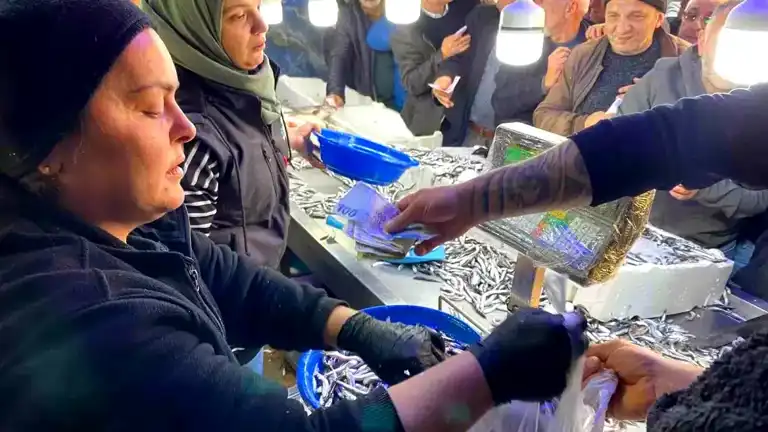Hopa'da Uygun Fiyatlı Hamsi Sıcağı!