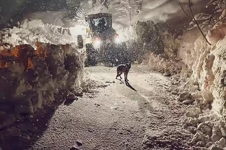 Artvin'de 6 Metre Kar: Okullar Tatilde!