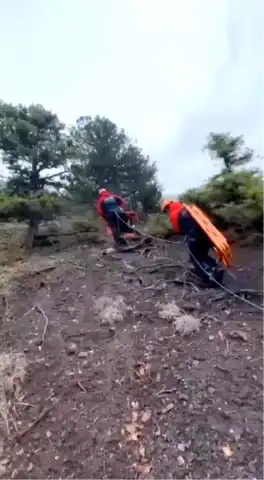 Artvin'de Av Rehberi Kalp Kriziyle Hayatını Kaybetti